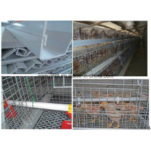 New Design Cheap Pullet Chicken Birds Cage for Poultry Farm Use